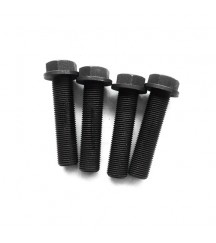 Flange screw 1545479